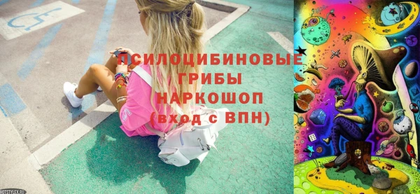 спайс Баксан