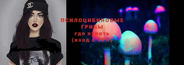 спайс Баксан